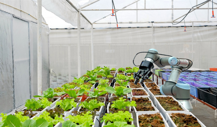Agriculture Industry