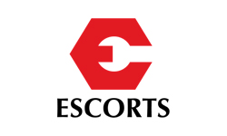 escorts